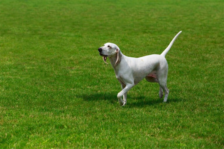 Billy 2